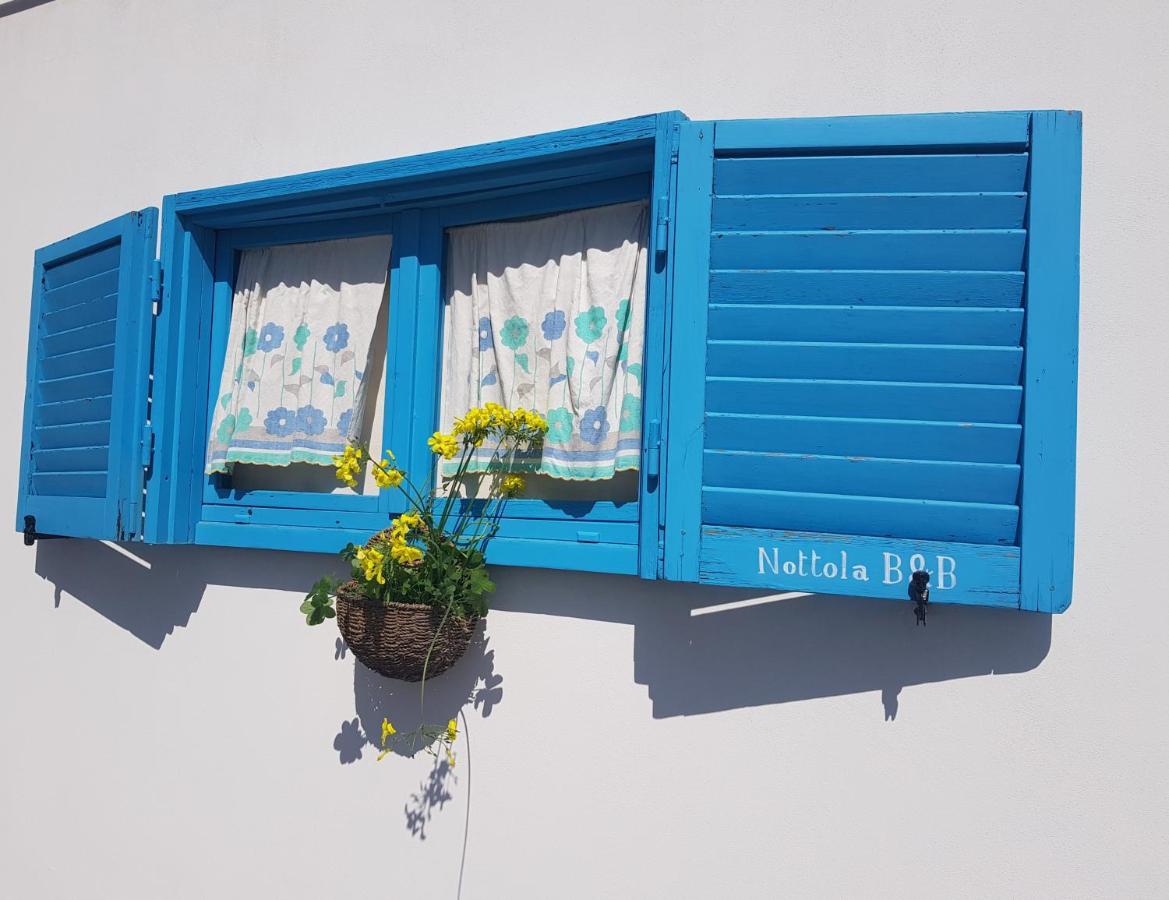 Nottola B&B Ladispoli Exterior foto